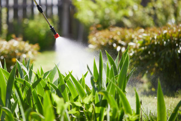 Tamper-Resistant Bait Stations for Rodents in Berwick