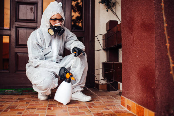 Attic and Crawl Space Rodent Treatment in Berwick