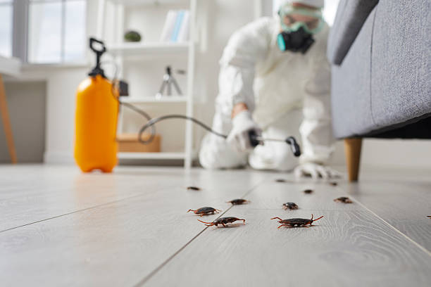 Commercial Rodent Management in Berwick